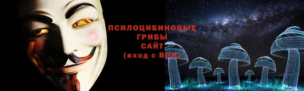 амф Тайга