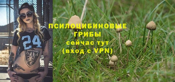 скорость Белокуриха