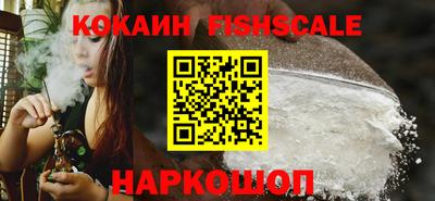 дмт Бийск