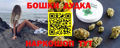 дмт Бийск