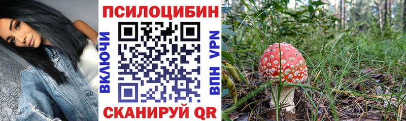 Псилоцибиновые грибы GOLDEN TEACHER  как найти закладки  Воркута 