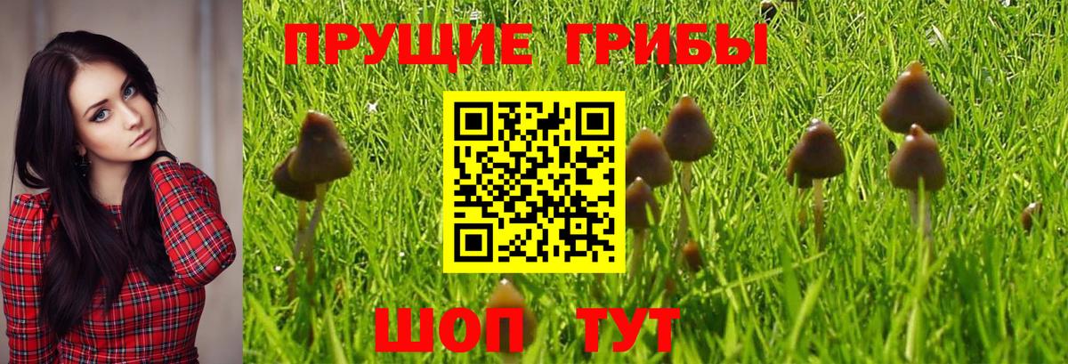 Галлюциногенные грибы мухоморы Воркута